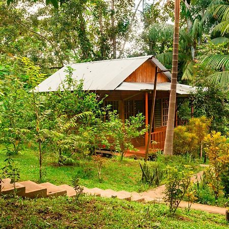 Cabanas Dechi Puerto Narino Екстер'єр фото