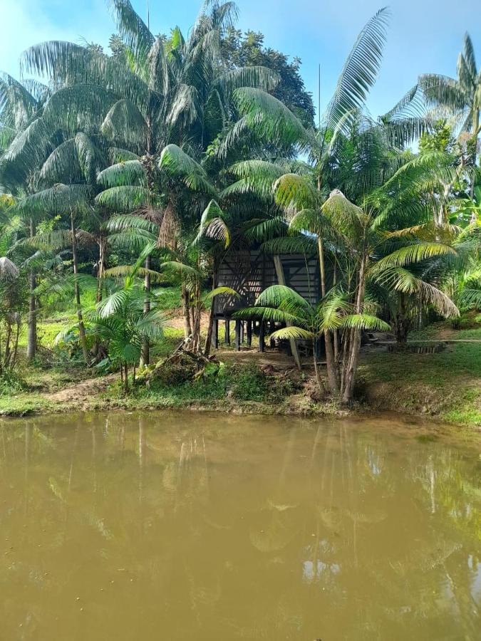 Cabanas Dechi Puerto Narino Екстер'єр фото