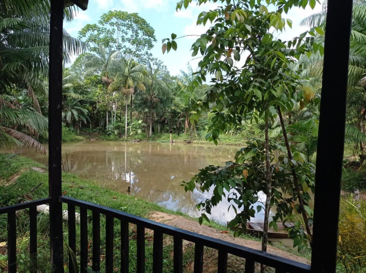 Cabanas Dechi Puerto Narino Екстер'єр фото