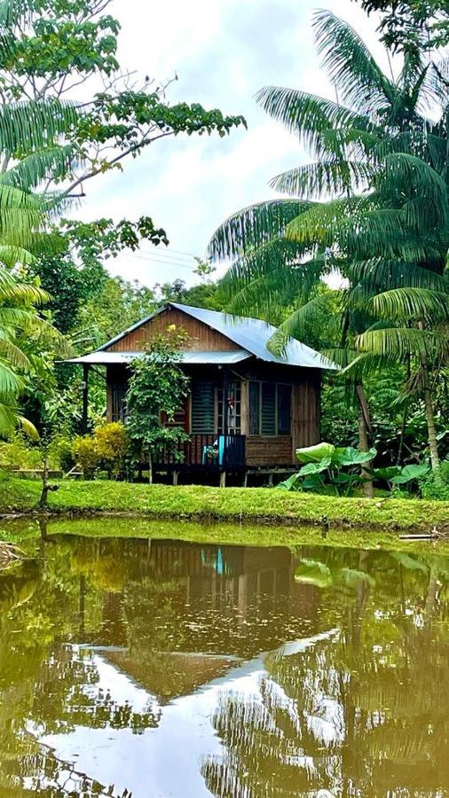 Cabanas Dechi Puerto Narino Екстер'єр фото
